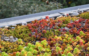 the cost of Threshers Bush green roof installation