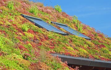 Threshers Bush living roof systems